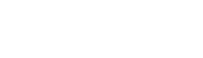 Logo WOUNDWO